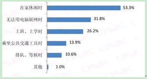 中国互联网络信息中心（CNNIC）的互联网数据服务概述